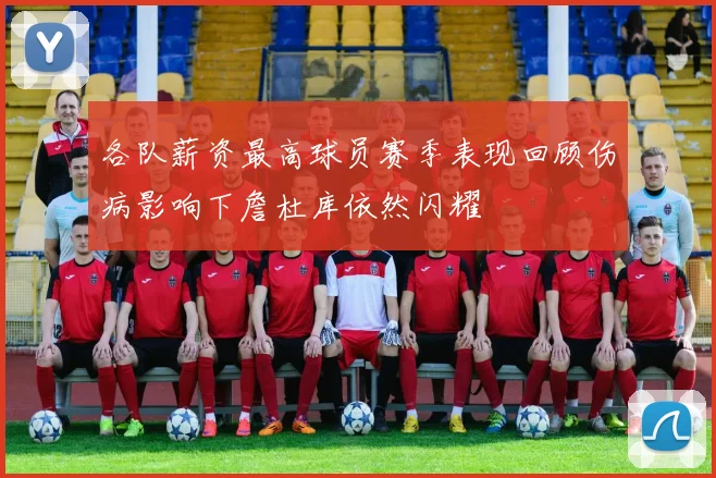 各队薪资最高球员赛季表现回顾伤病影响下詹杜库依然闪耀